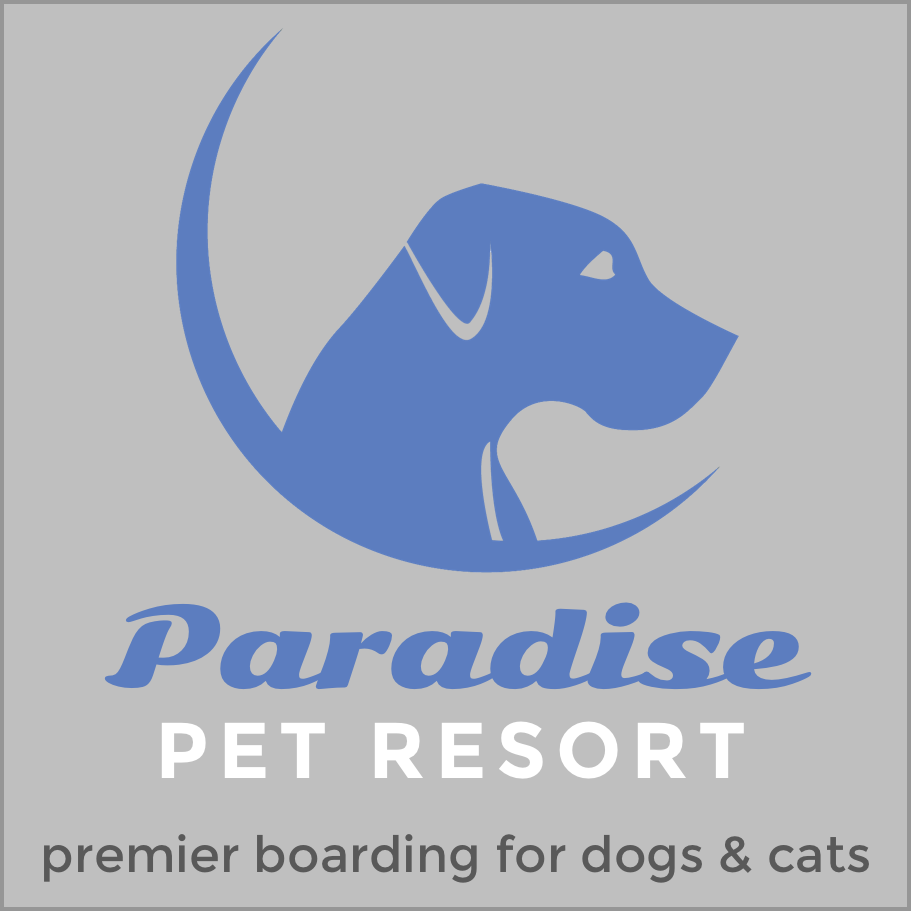 logo-dogs-cats